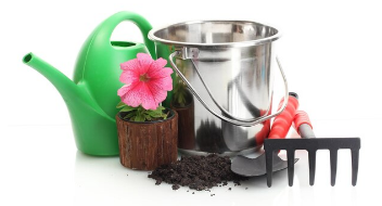 Gradina, Pamant, flori, ingrasaminte si pesticide
