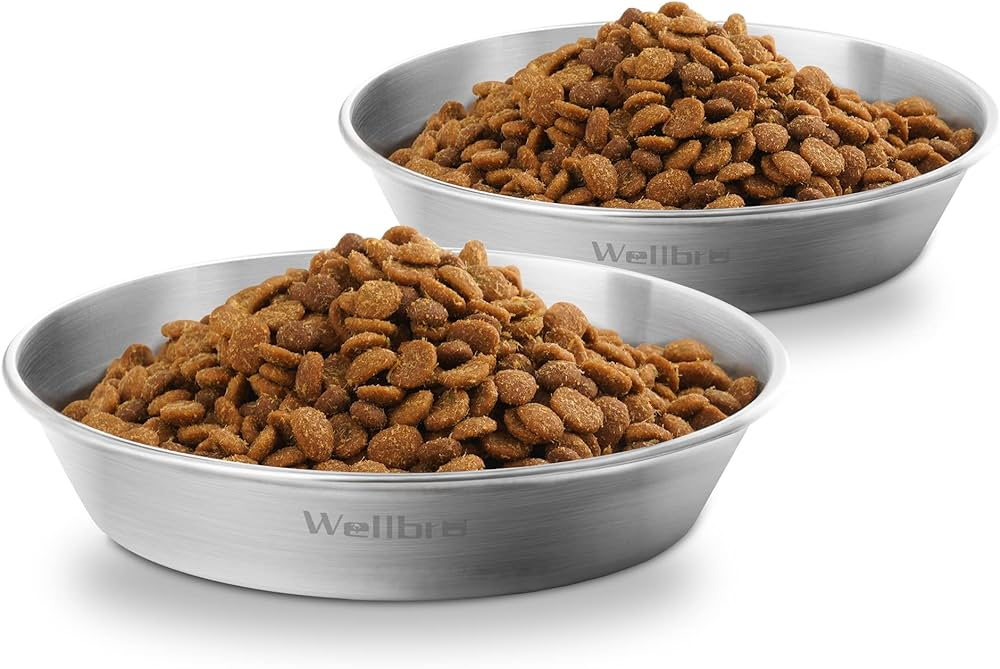 Alimentatie